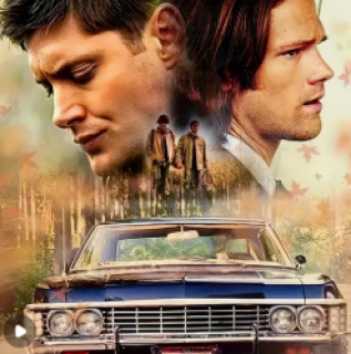 Diamond Painting Brothers Thema